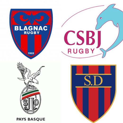 Blagnac, Dijon, Bourgoin et Saint-Jean de Luz ne peuvent pas monter en Pro D2