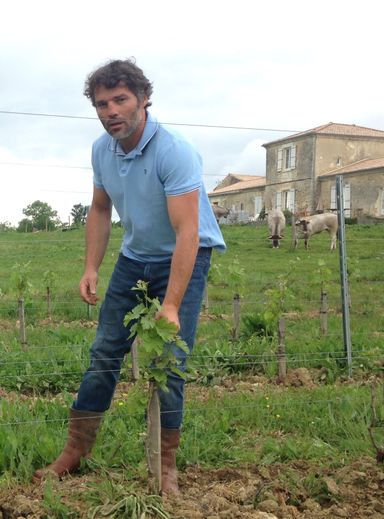 Benjamin Andreu et son épouse ont racheté une bâtisse en ruine dans le Médoc pour relancer une activité viticole. Les premières vendanges sont prévus pour cet automne.