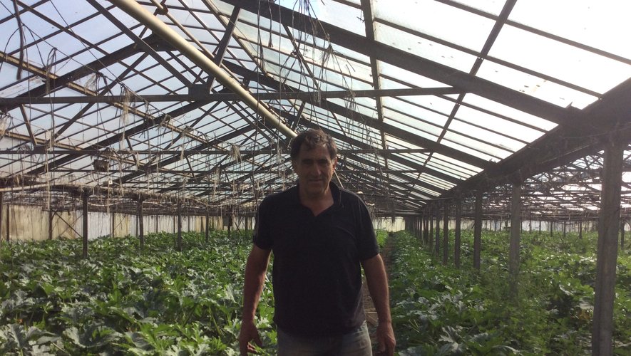 Jean-Charles Orso cultive des légumes en agriculture biologique et écoule essentiellement sa production dans la région provençale. Outre la vente de ses produits aux restaurateurs locaux, il exporte ses fleurs de courgettes dans le monde entier.