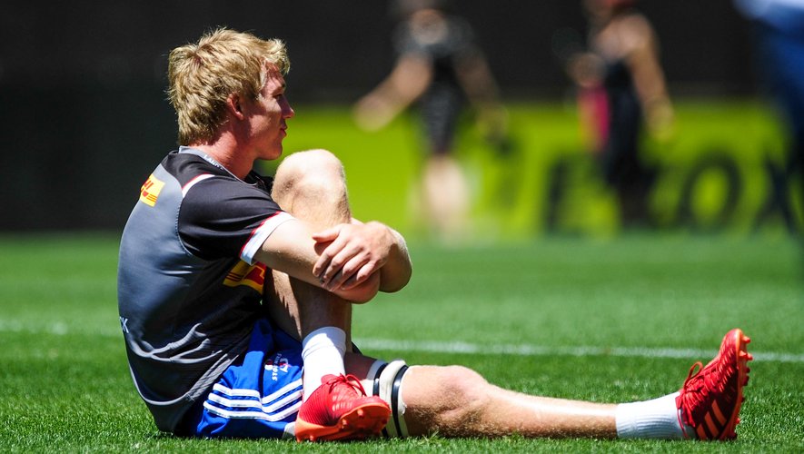 Pieter-Steph du Toit of the Stormers stretching during the 2020 Super Rugby training session and press conference for the Stormers at Newlands Rugby Stadium in Cape Town on 30 January 2020 Â© Ryan Wilkisky/BackpagePix 

Photo by Icon Sport - Pieter-Steph DU TOIT - Le Cap (Afrique du Sud)