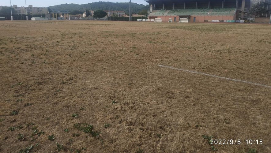 La pelouse séchée du stade de Draguignan.