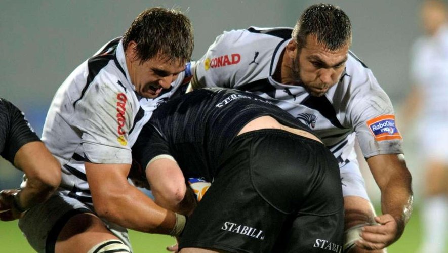 Zebre rugby 2012