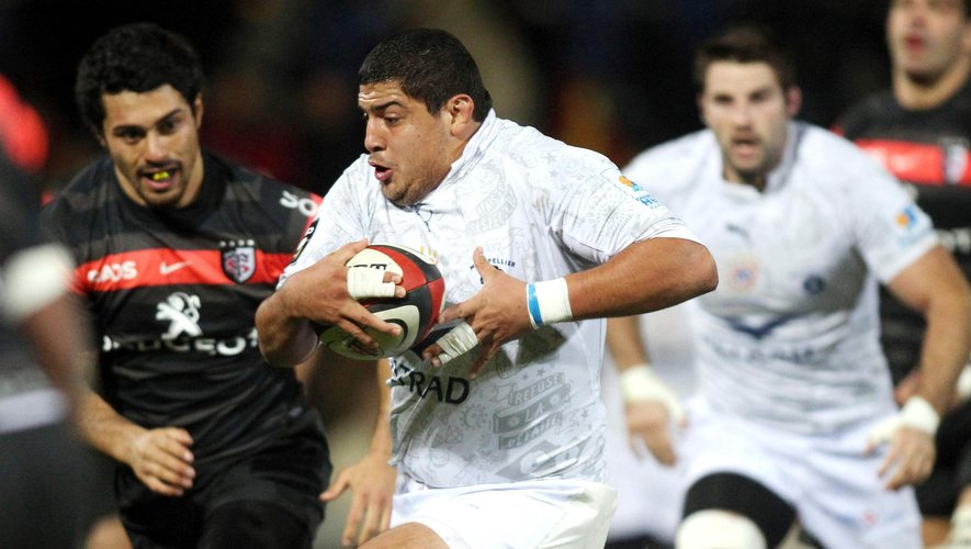 Maximiliano Bustos - 09.11.2012 - Toulouse Montpellier - 11e journee Top 14