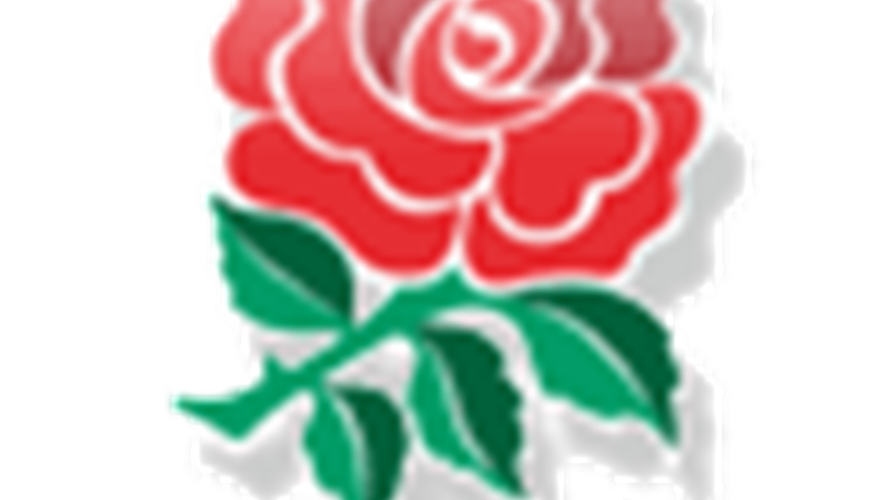 Angleterre logo 2010