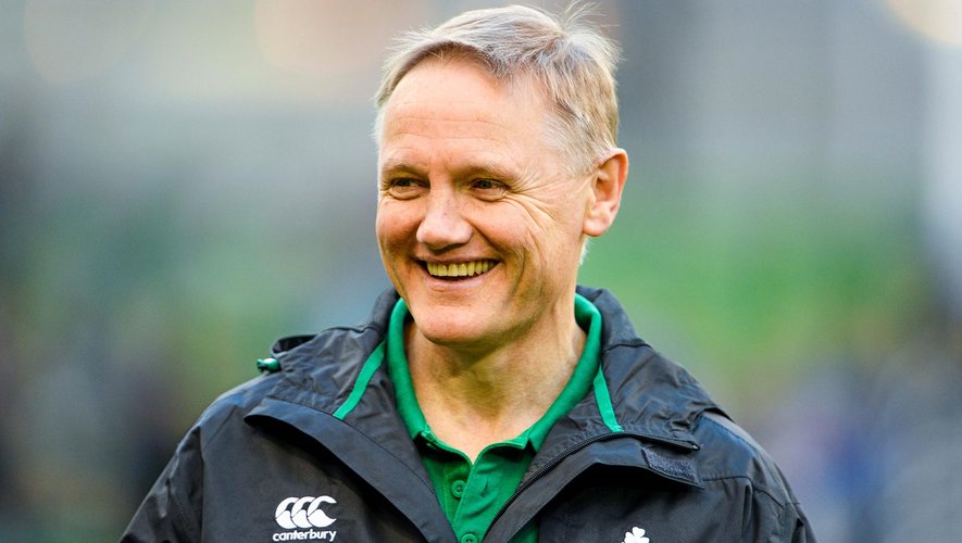 Joe Schmidt, le sélectionneur de l'Irlande - Novembre 2014