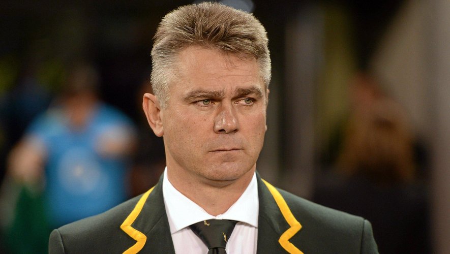 Heyneke Meyer, l'entraineur de l'Afrique du Sud - novembre 2012.