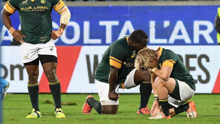 La défaite de l'Afrique du Sud face à l'Italie - 19 novembre 2016