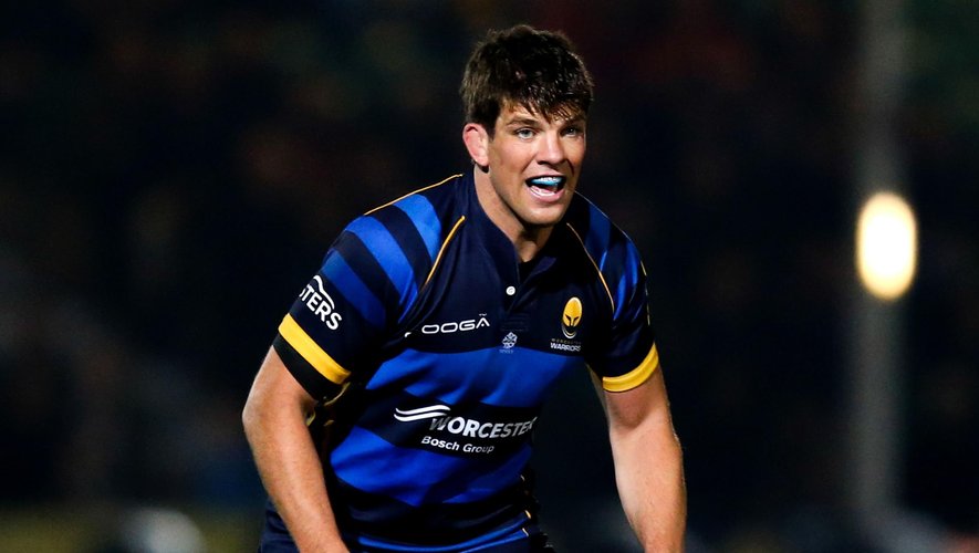 Donncha O'Callaghan (Worcester)