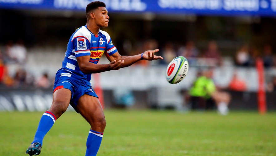 Damian Willemse (Stormers)