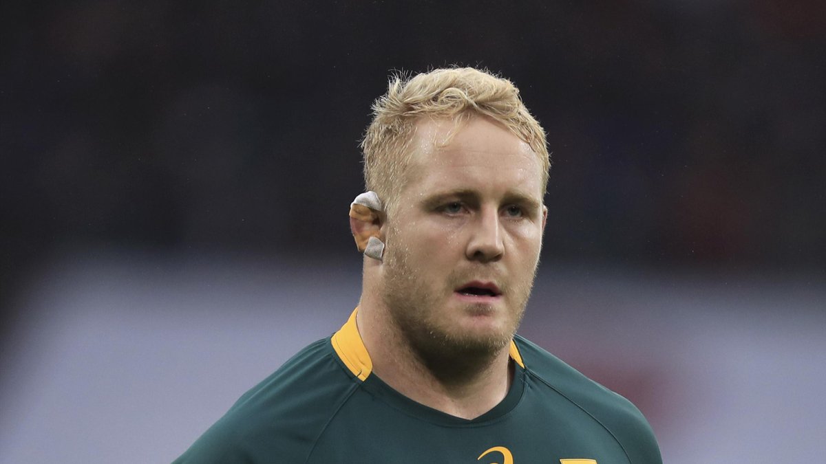 Koch et Nel dans les 30 Sud-Africains, le Roux aussi - rugbyrama.fr
