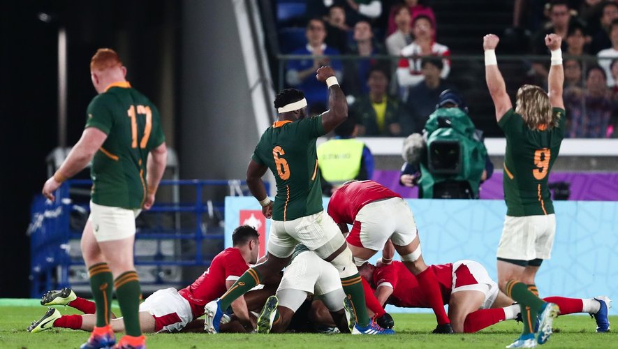 Les joueurs de l'Afrique du Sud célèbrent un essai inscrit contre le pays de Galles en demi-finale de la Coupe du monde