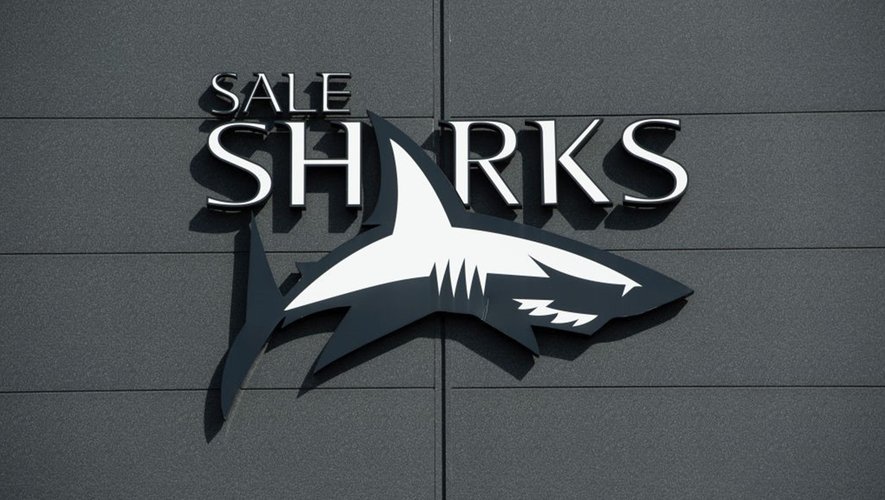 Sale Sharks will not miss out on play-offs