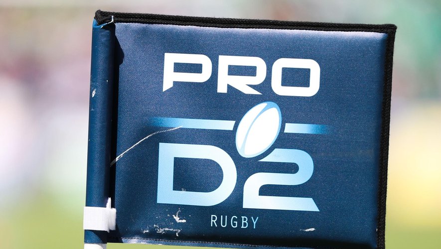 Logo Pro D2