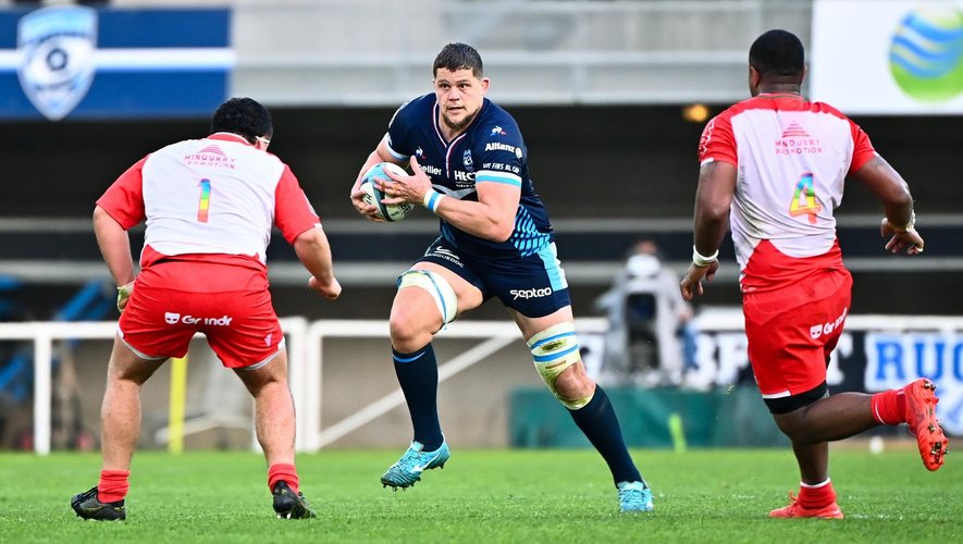 Top 14 - Paul Willemse (Montpellier)