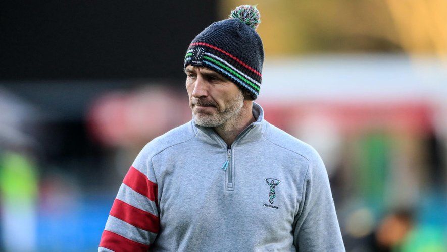 Champions Cup - Paul Gustard (Harlequins)