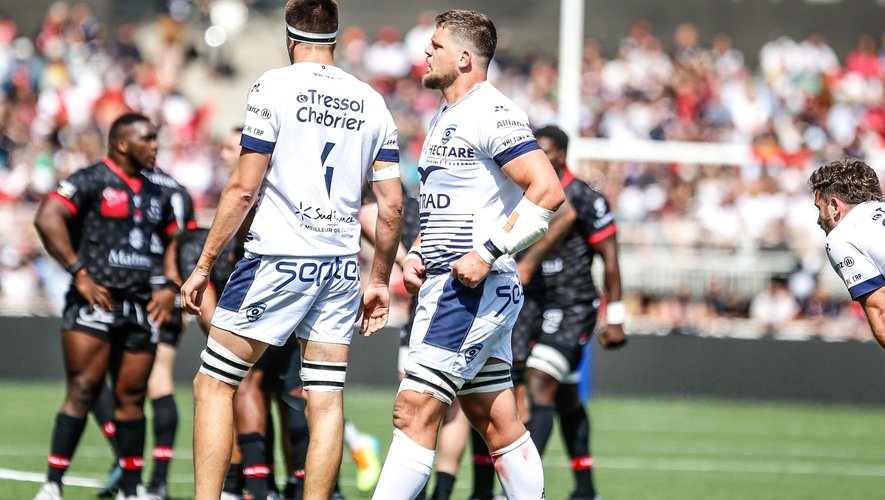 Top 14 - Paul Willemse (Montpellier)