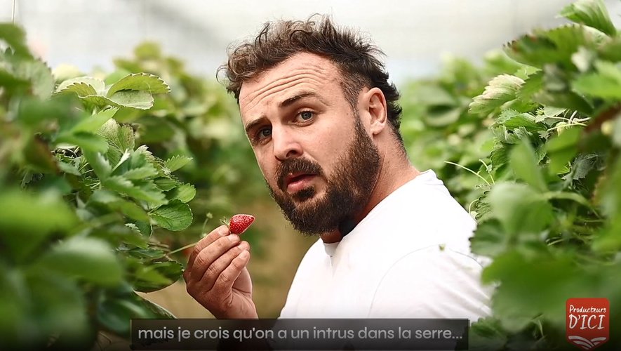 XV des Producteurs: Guillaume Tartas Visits Pascal Levade, Strawberry Producer – A Journey to the Heart of Strawberry Rows