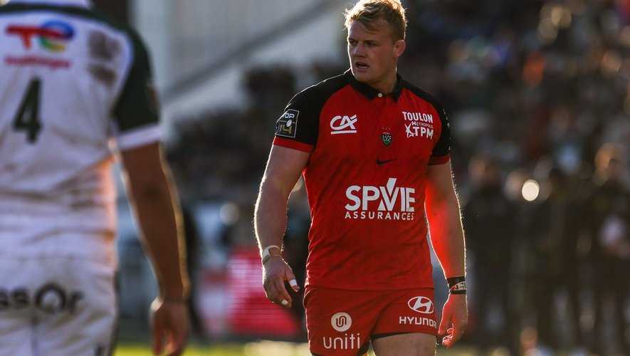 David Ribbans Champions Cup - David Ribbans (Toulon) de retour à Northampton face aux ...