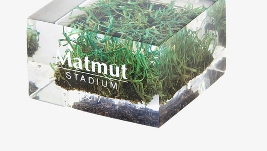La pelouse du Matmut Stadium.