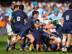 Top 14 - Retard à l’allumage pour Montpellier, battu en fin de match à Bayonne
