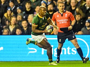 Tournée d'automne 2024 - Classement World Rugby : l'Afrique du Sud prend la tête, l'Irlande perd deux places, la France quatrième