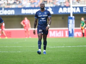 Top 14 - Les compositions de Montpellier - Perpignan : Madosh Tambwe de retour, Lucas Velarte flanker