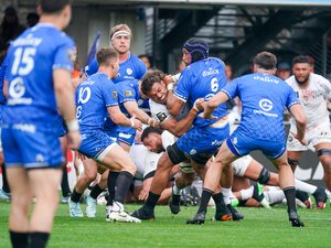 Top 14 - Joe Edwards (Vannes) : "La Bretagne est toujours vivante"