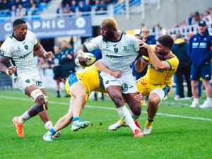 Top 14 - L'incroyable statistique (positive) de Montauban cette saison