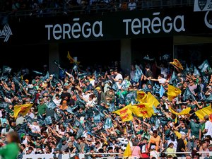 Top 14 – Pau. "Attention aux arnaques" : la Section prévient ses supporters avant la réception de Toulouse