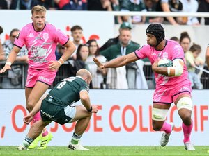 Top 14 - Le Stade français de Paul Gustard mise sur la rotation et la jeunesse pour retrouver la dynamique de sa saison 2023-2024