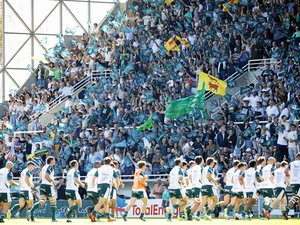 Top 14 - Au Hameau, Pau défie Toulouse, triple champion de France, dans un choc entre bastions invaincus et ambitions retrouvées