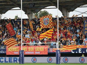 Top 14 – "Quand il dit qu’il ne peut pas sortir de chez lui, c’est faux" : les propos de Tristan Tedder font réagir à Perpignan