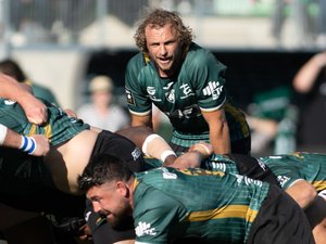 Direct. Top 14 - Montauban - Perpignan : le match de la peur... Suivez la rencontre de la 8e journée