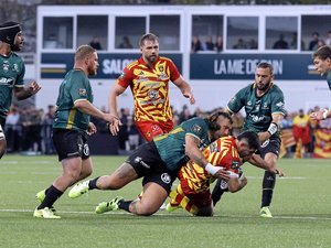Top 14 - Ces séquences qui ont permis à Montauban de tenir la victoire face à Perpignan
