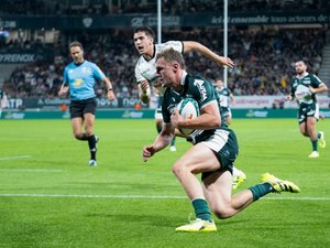 Top 14 – Les compositions de Pau – Perpignan : Emilien Gailleton sur le banc, Tommaso Allan à l’ouverture