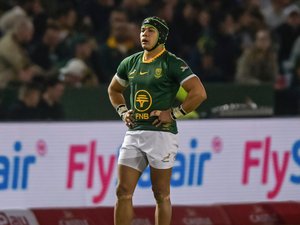 Tournée d’automne 2025 – Cheslin Kolbe à l’arrière, un banc en 5-3 : la compo probable des Springboks pour défier les Bleus