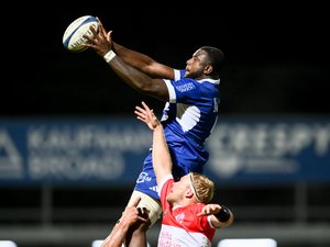 Direct. Pro D2. Colomiers – Provence Rugby : suivez le match de la 10e journée