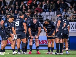 Pro D2 - L'enseignement de la 10e journée : Provence rugby monte en gamme