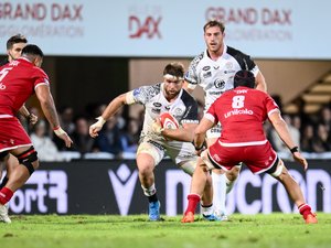 Pro D2 - Bautista Pedemonte relâché par l'Argentine et donc disponible avec Vannes contre Grenoble