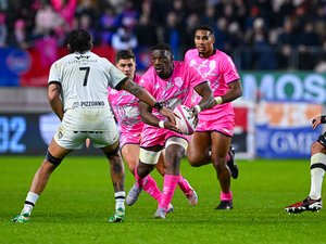 Top 14. Le Stade français surclasse Toulon, se bonifie et grimpe sur le podium