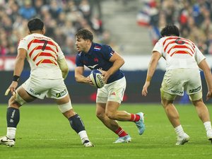 Top 14 – La tendance du Midol : "Les Bleus, barrez-vous au Japon !"