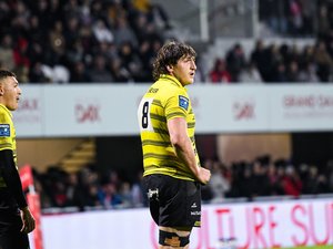 Transferts. Pro D2 - Exclu Midol. Le troisième ligne montois, Ioane Iashagashvili, tout proche du RC Vannes