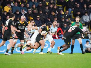 Top 14 – Les notes de La Rochelle – Bayonne : Levani Botia, Ulupano Seuteni et les Rochelais en grande forme face à des Bayonnais complètement dépassés