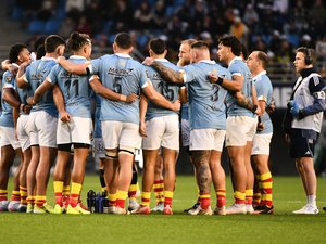 Top 14 – "Le groupe se surpasse, il y a un élan collectif" : comment l’Usap peut-elle se sublimer face à Toulouse ?