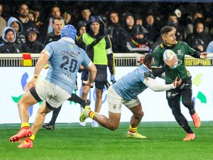Top 14 – "Certains joueurs ont plus d'envie que d’autres" lâche Stéphane Ahmed (Montauban) après la défaite à Perpignan