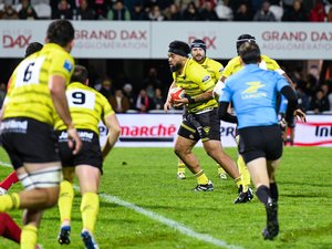 Transferts. Pro D2 / Top 14 – Après un passage éclair à Pau, le deuxième ligne Brent Liufau est déjà de retour en prêt à Mont-de-Marsan