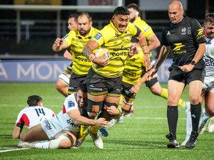 Pro D2 – Contre Biarritz, les Montois débutent leur contre-la-montre pour le maintien