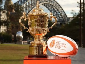 "La Coupe du monde est de très loin la compétition où on vend le plus" : tous les quatre ans, c'est la ruée !