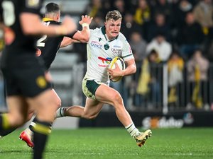 Top 14 – "On a paradoxalement mieux géré l’hiver que lors des quatre dernières saisons" : la Section Paloise est-elle vraiment en train de craquer ?