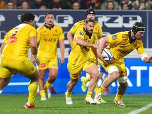 Top 14 – Toulon et La Rochelle en difficulté : à l’image des internationaux ? En partie mais pas que